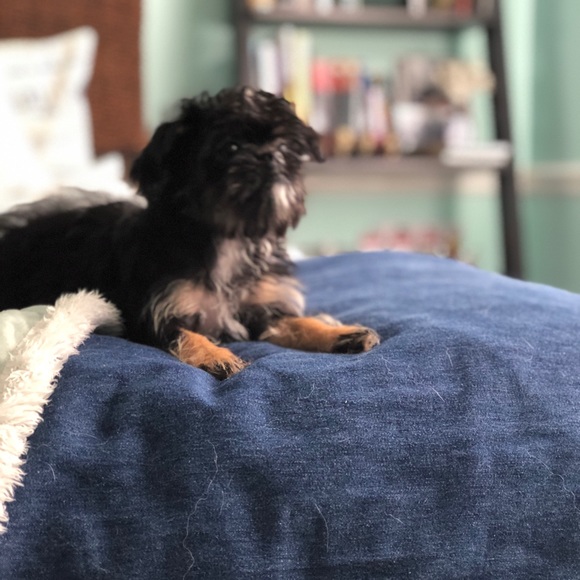 Meet The Posher - Picture 8 of 8